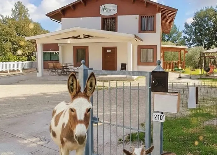 Bed and Breakfast Le Cerque